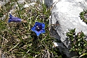 2011-05-20_Pilatus 149
